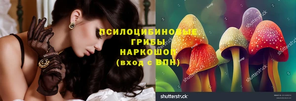 PSILOCYBIN Володарск