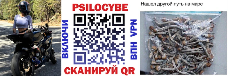 Купить закладки  Мещовск  Псилоцибиновые грибы мухоморы 